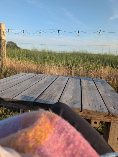 A quiet spot by the field with fairy lights
